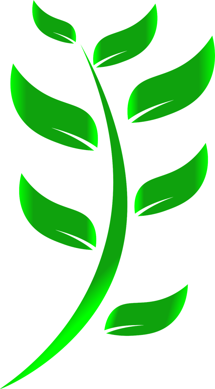 découvrez nos fenêtres écologiques, alliant performance énergétique et respect de l'environnement. idéales pour réduire votre empreinte carbone tout en améliorant le confort de votre maison.