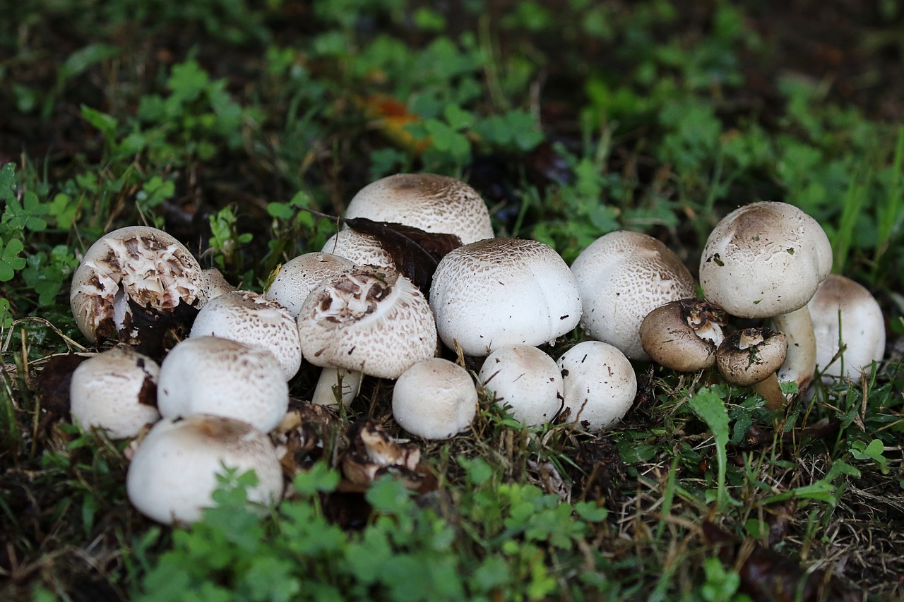 découvrez tout sur l'humidité : ses effets sur notre environnement, son rôle dans le climat, ainsi que des conseils pour la gérer efficacement dans votre intérieur. informez-vous sur les niveaux d'humidité idéaux pour améliorer votre confort et votre santé.